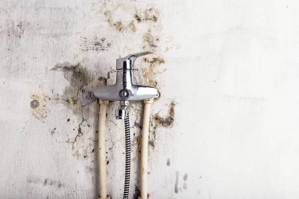 Cullman, AL Mold Remediation Company