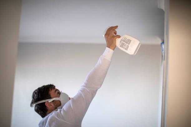 Best Mold Remediation for Specific Building Types in Cullman, AL